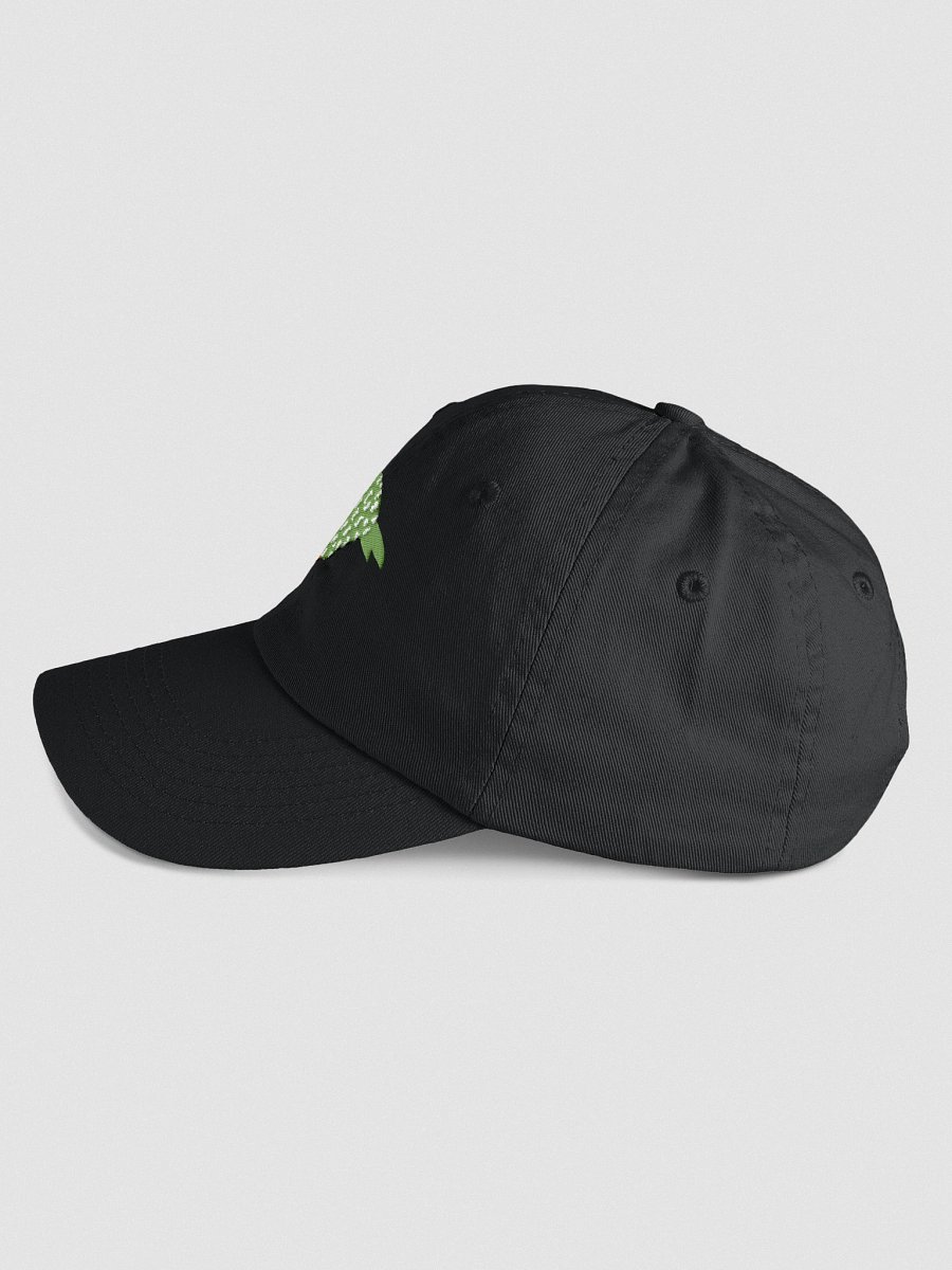 Kids Embroidered Kakapo Cap product image (22)