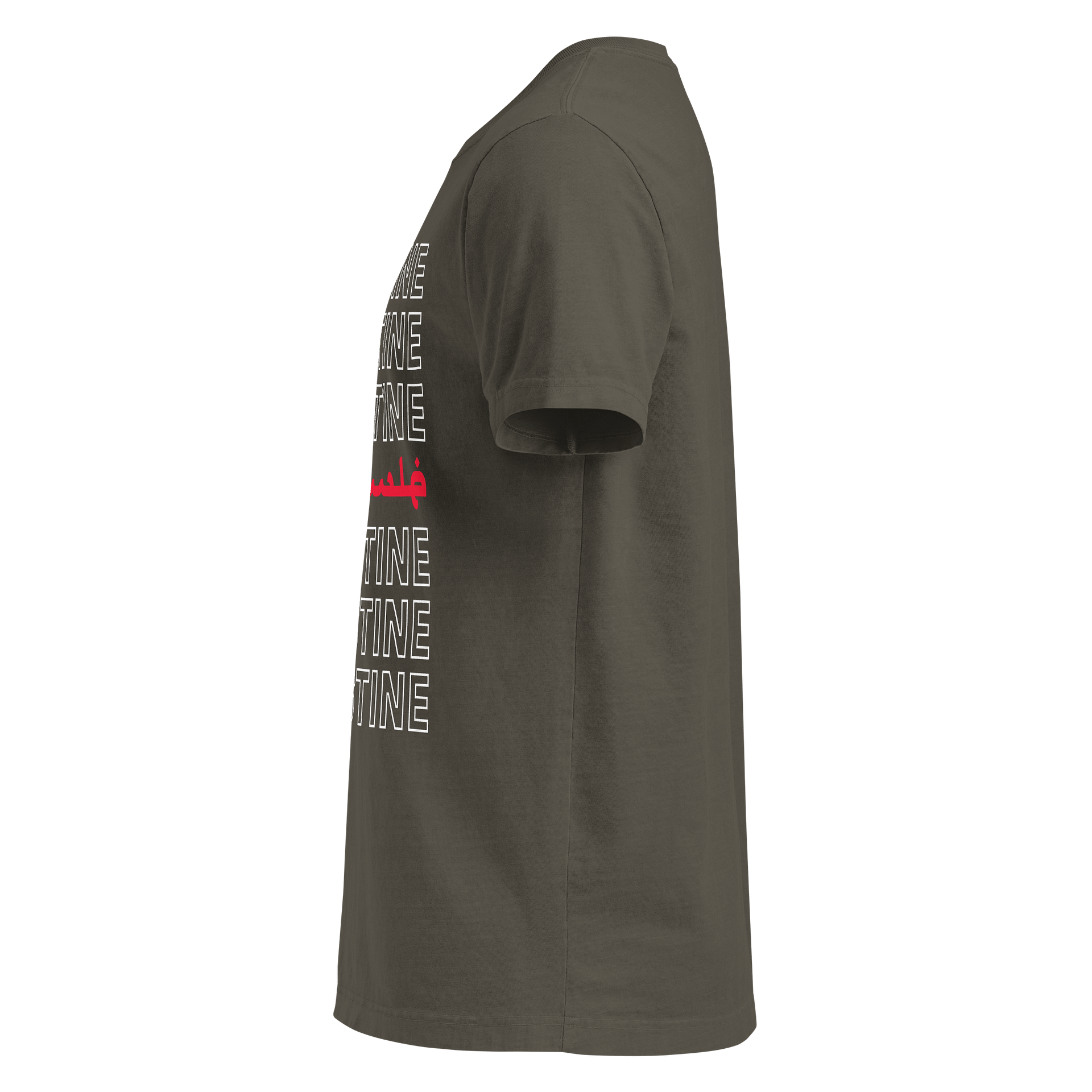 Palestine Oversized Unisex T-shirt product image (7)