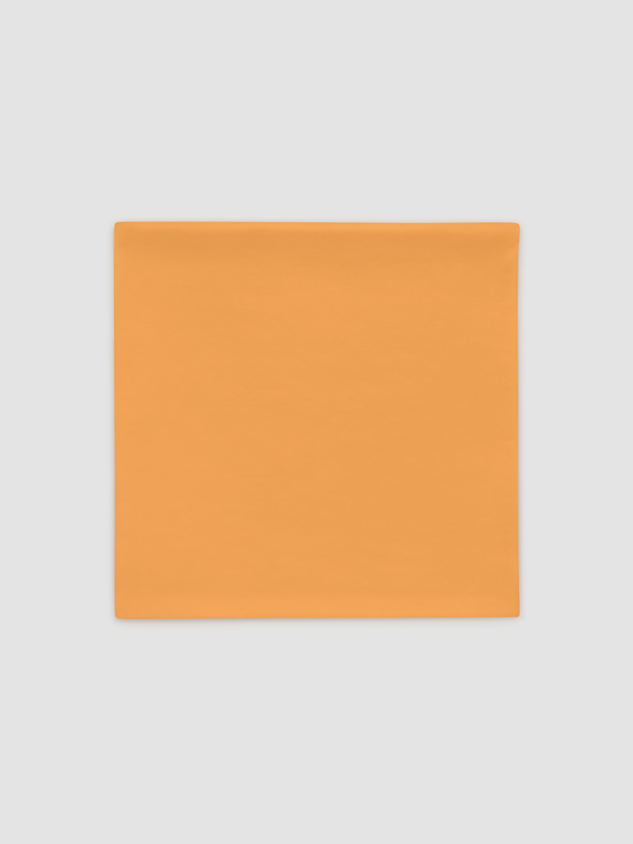 Pillow Case - Lan (Orange) (Tower of Fantasy) product image (2)