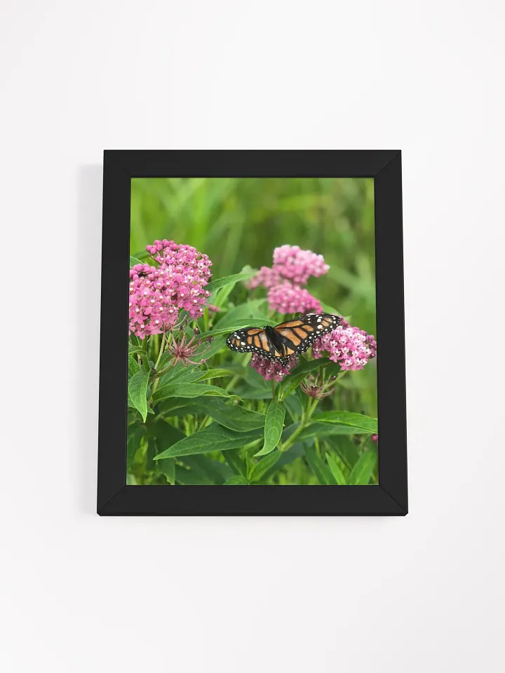 Monarch Butterfly version 2 High Quality Matte Poster product image (1)