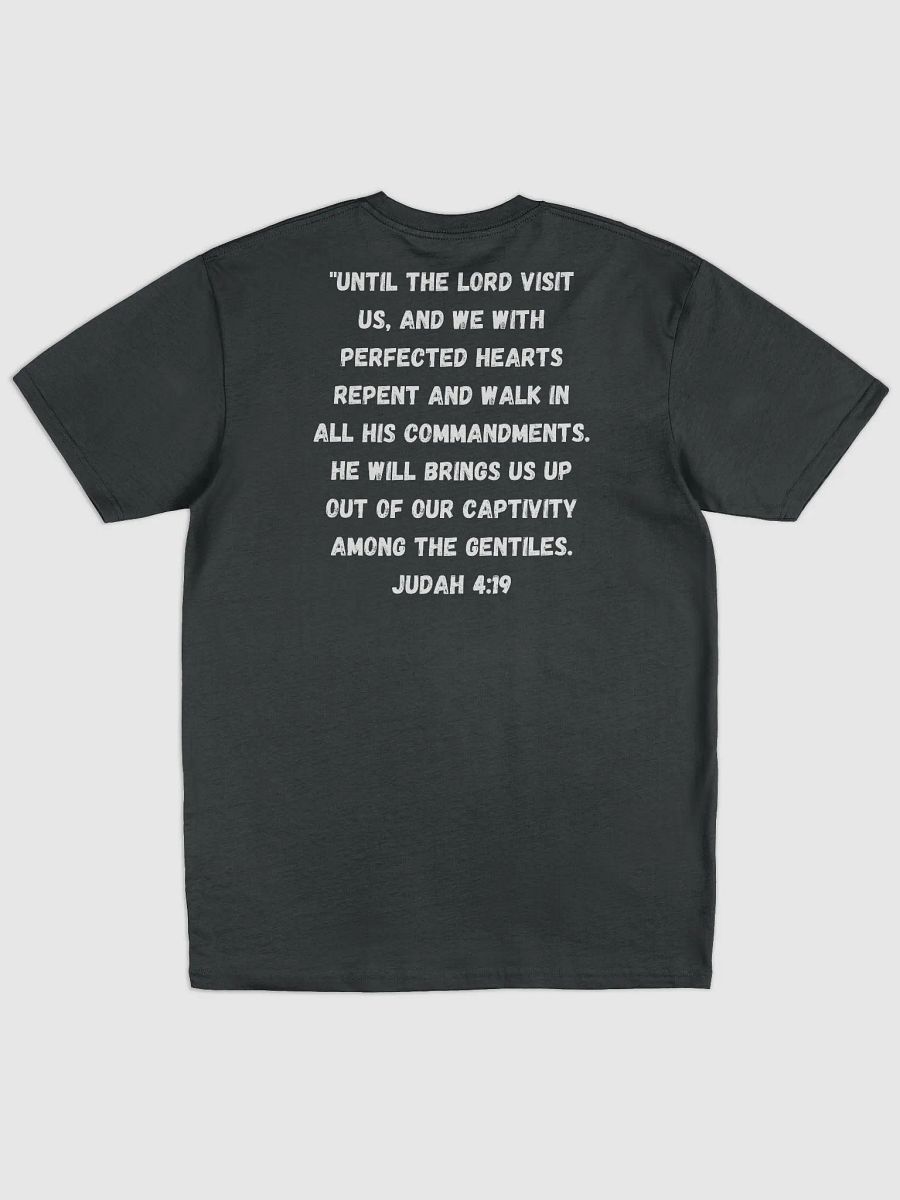 PHS (BLK) Tee Shirt product image (2)