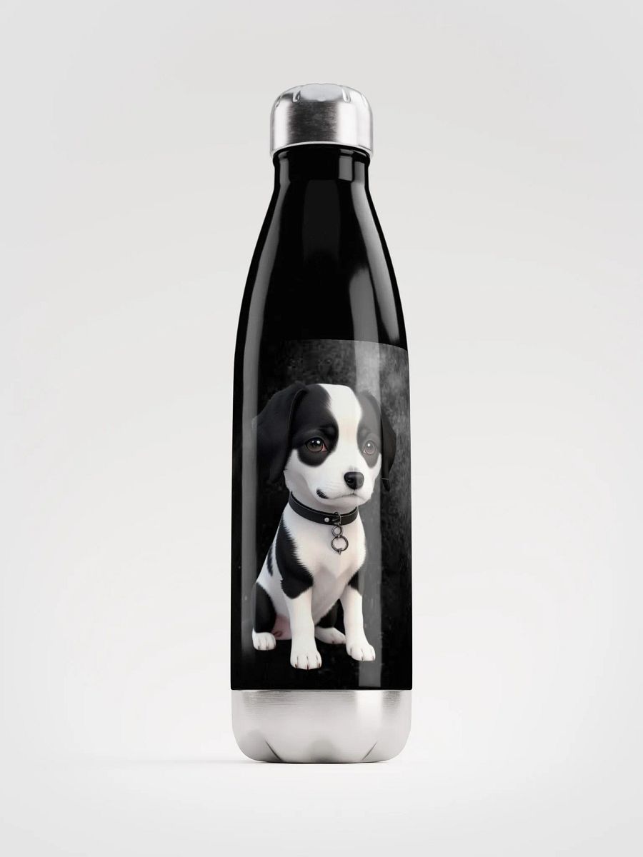 WallE Stainless Steel Water Bottle product image (1)