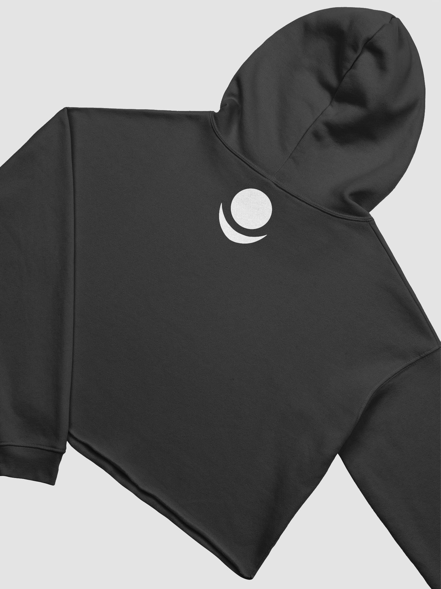 I USED TO BE WORSE (Cropped Hoodie) product image (4)