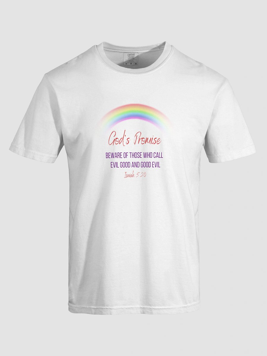God's Rainbow Heavyweight T-Shirt product image (7)
