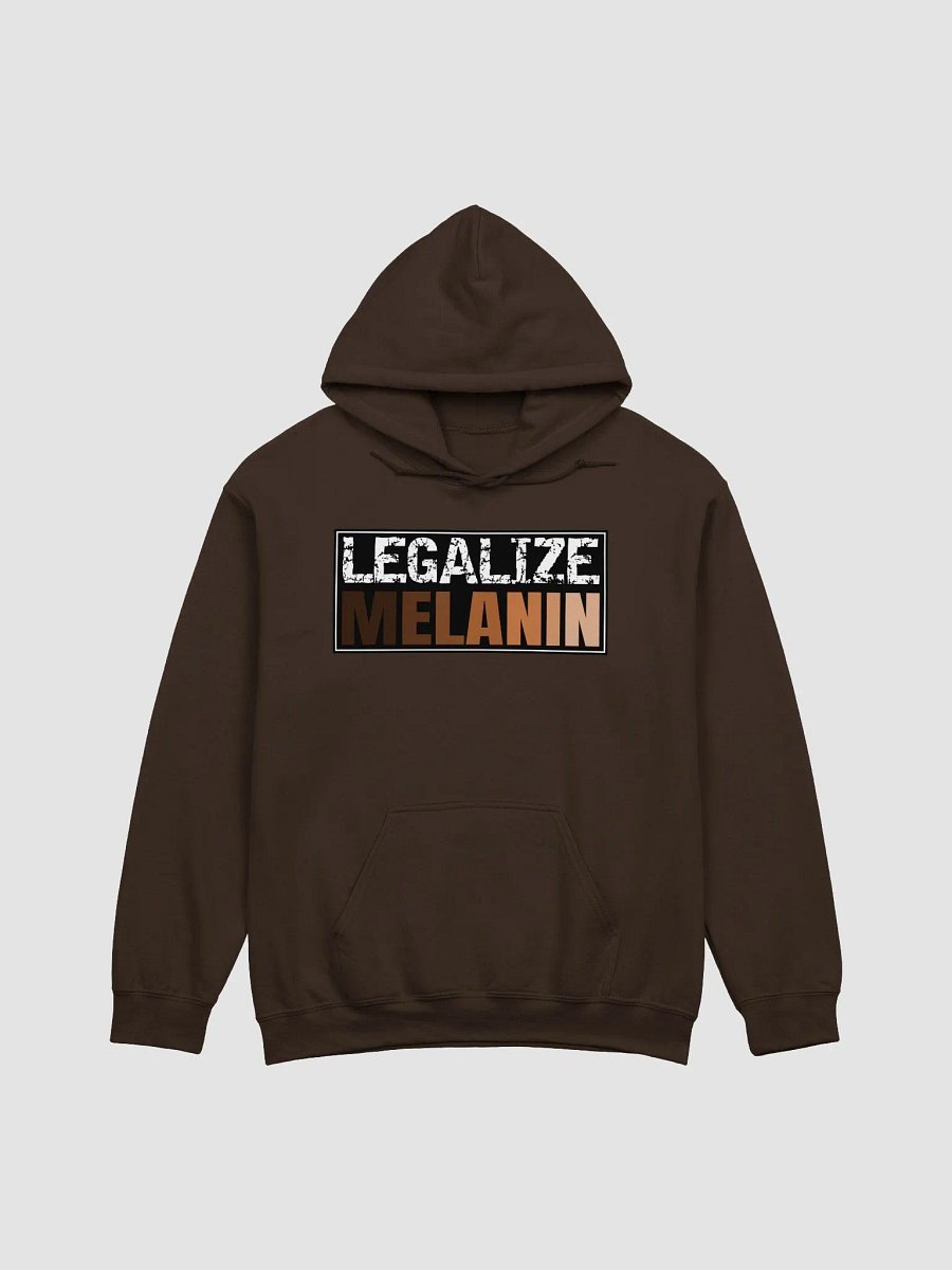 Legalize Melanin Hoodie product image (2)