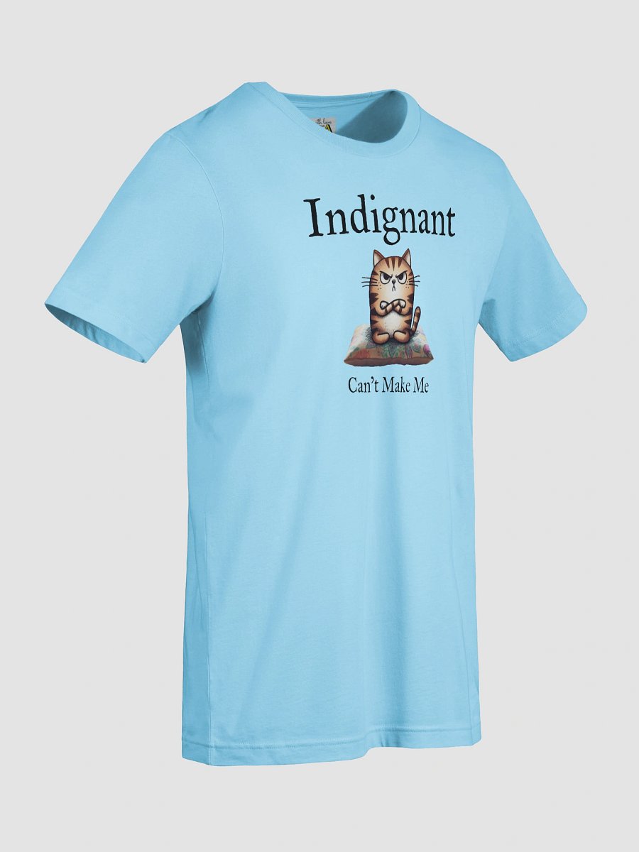 Indignant (Light / Ladies) Tee product image (86)