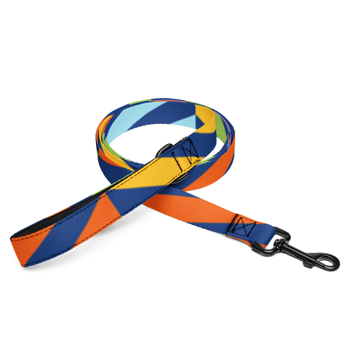 Lucky Dog Spectrum Stripes Pet Leash #002 product image (1)