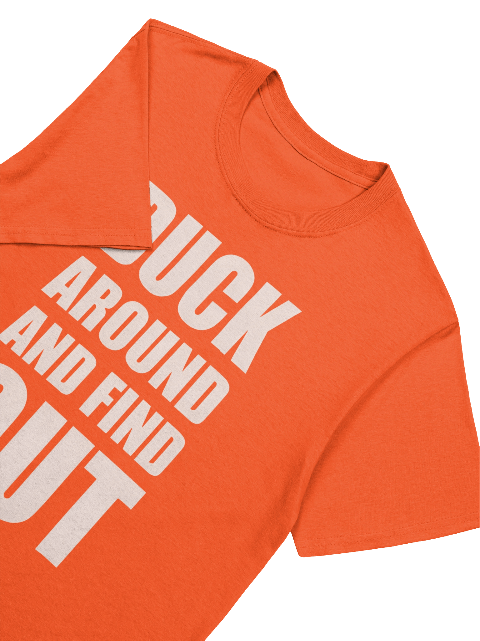 Duck Around And Find Out T-Shirt, product image (5)