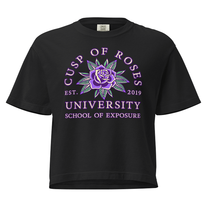 school of exposure | crop tee | leo-virgo cusp product image (1)