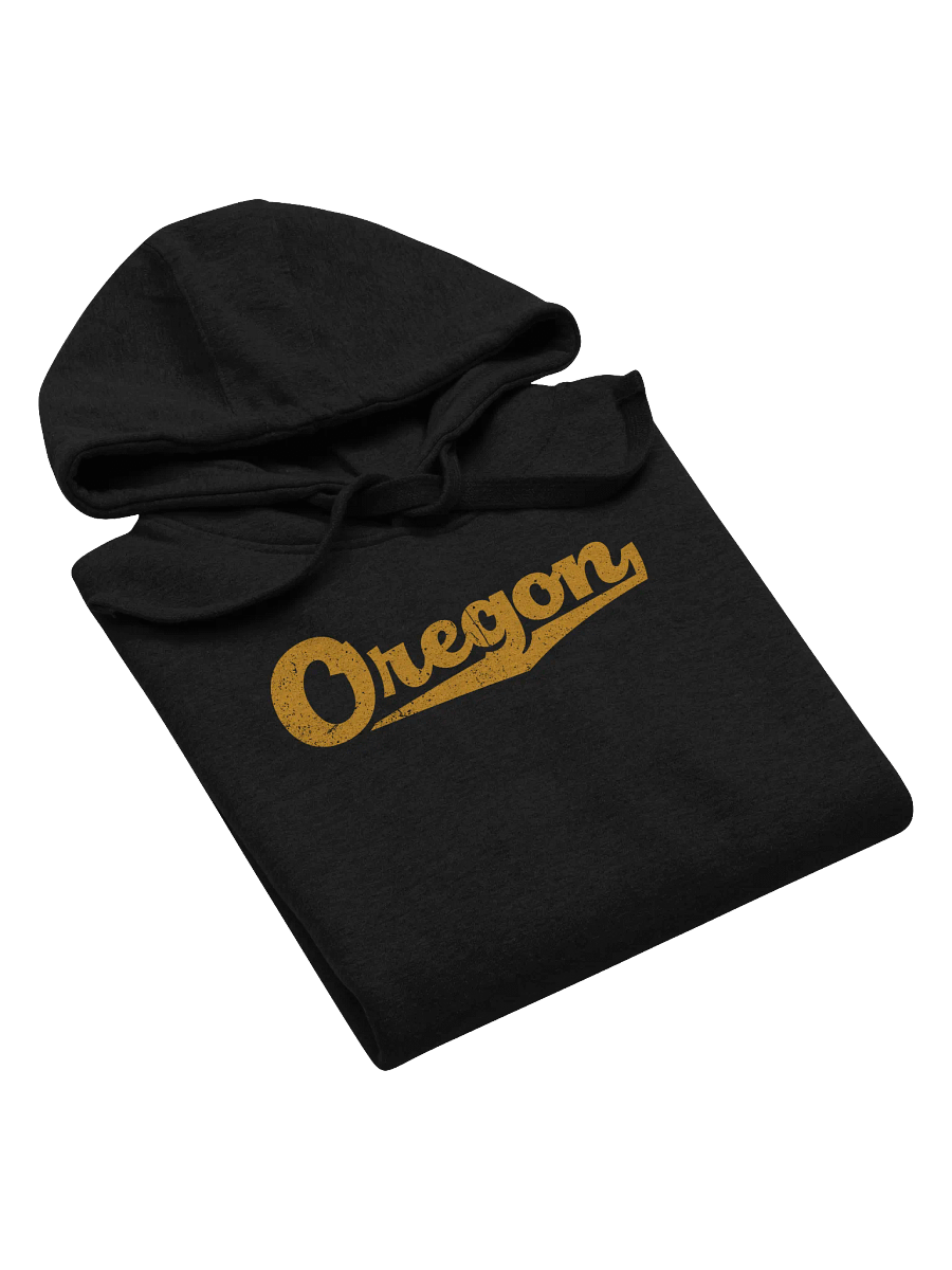 Oregon with Swash Hoodie product image (5)