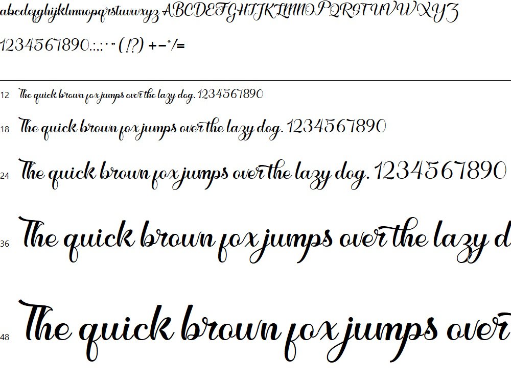 Feronica | Stylish Script Font product image (2)