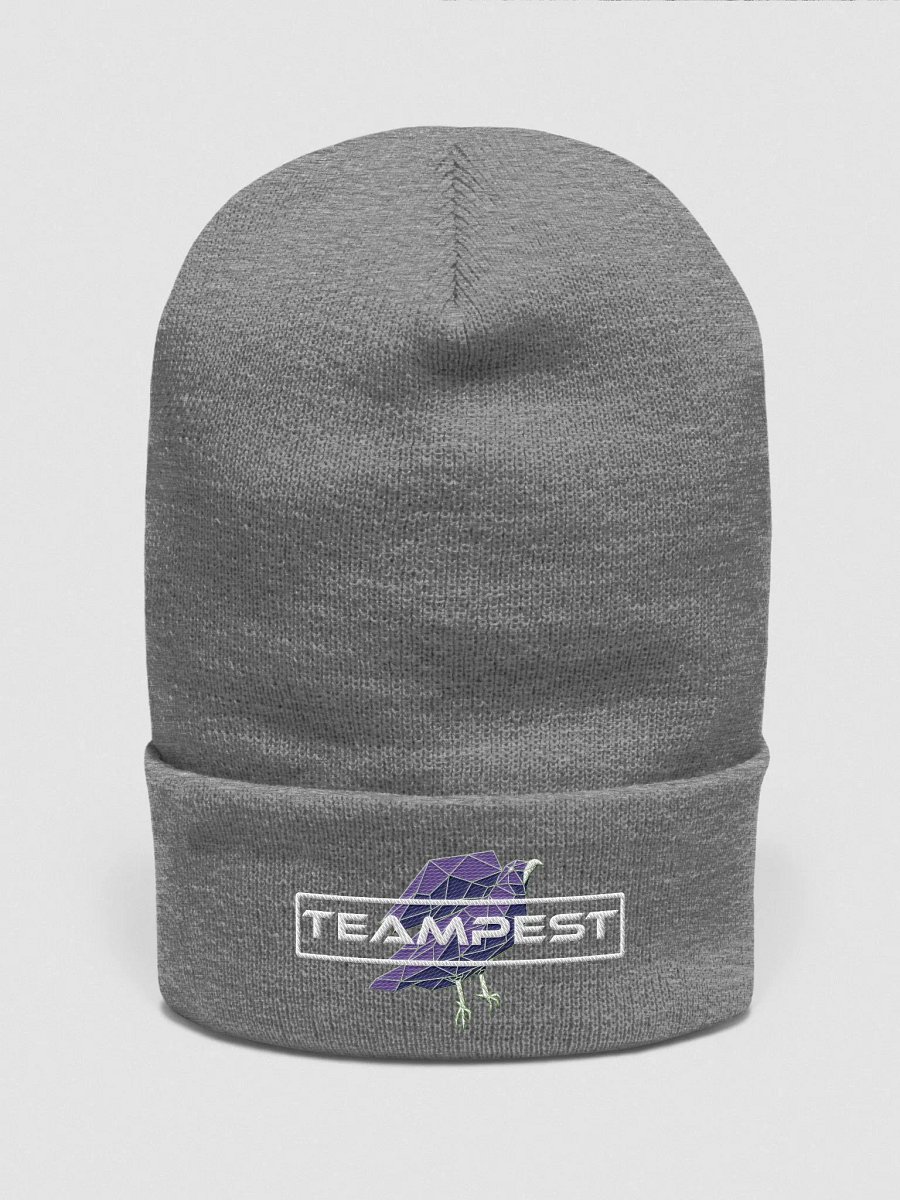 TeamPEST Gray Beanie product image (1)