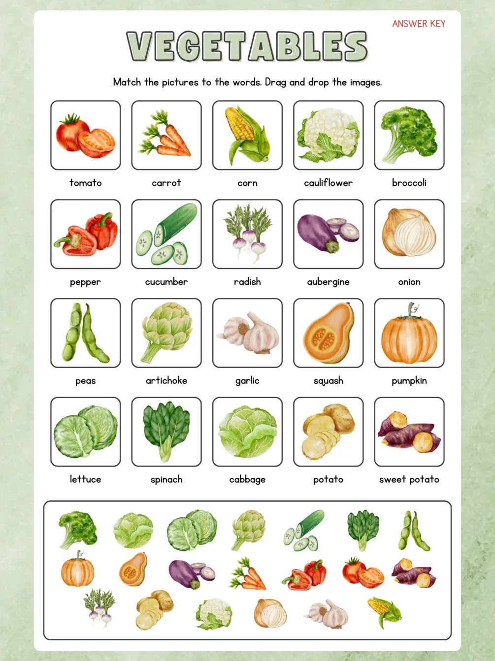 Veggie Adventures: Activity Based Coloring Book product image (1)