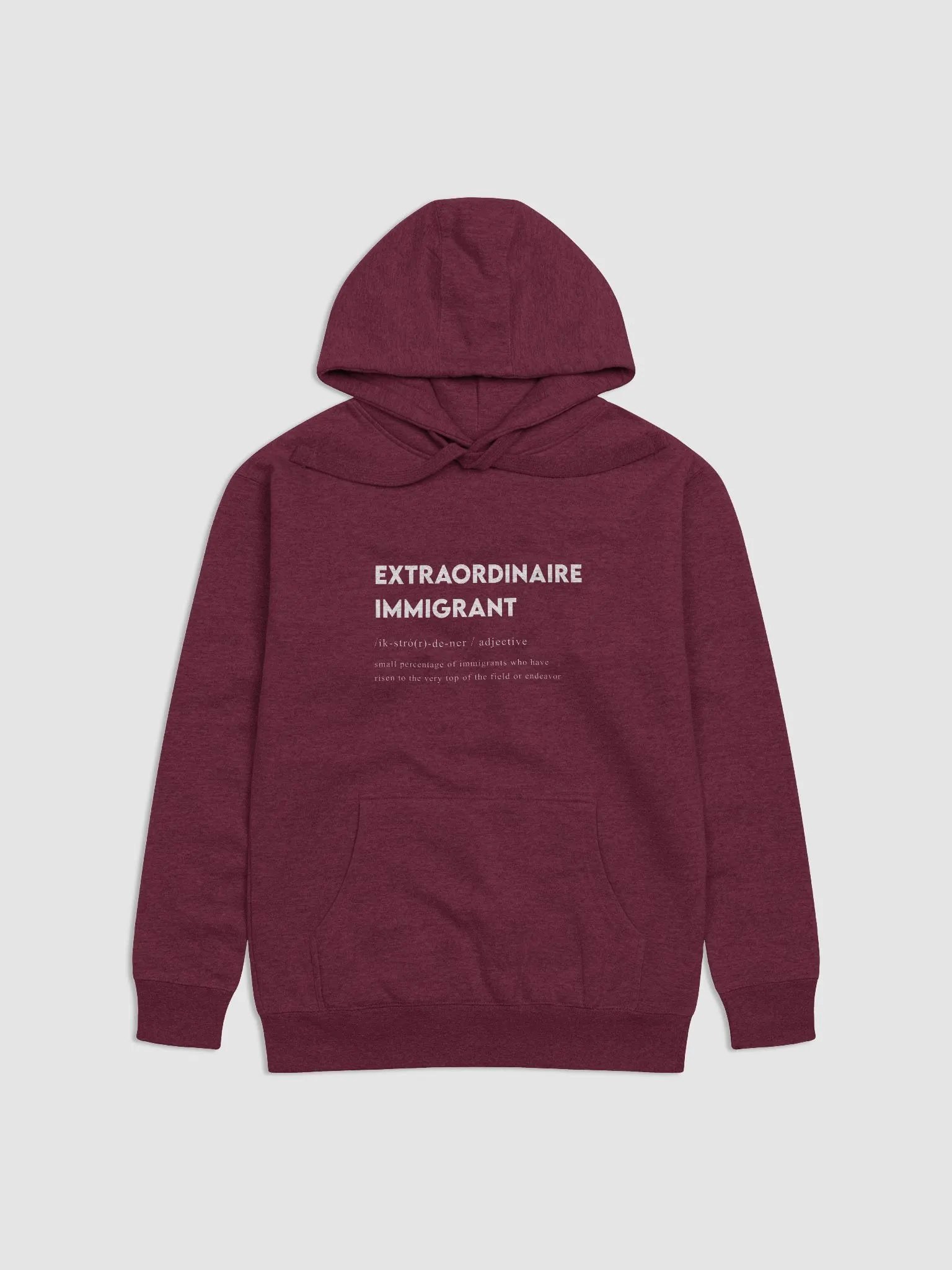 Extraordinaire Immigrant Hoodie – Celebrate Excellence product image (2)