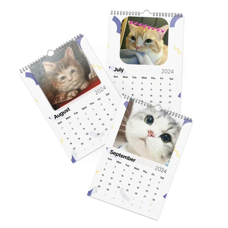 Wall Calendar (2024): Meme Cats product image (11)