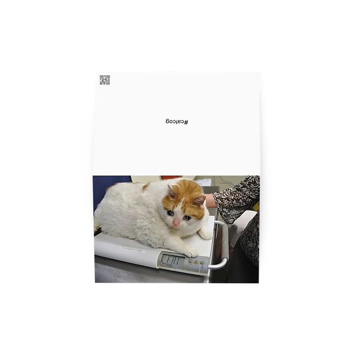 Greeting Card: Meme Cats product image (1)