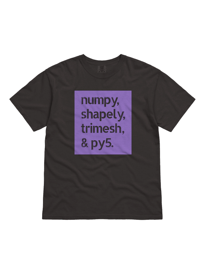 numpy, shapely, trimesh, and py5 (Heavyweight T-Shirt) product image (1)