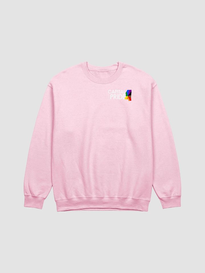 Logo Sweatshirt product image (1)