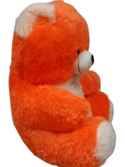 TEDDY BEAR product image (3)