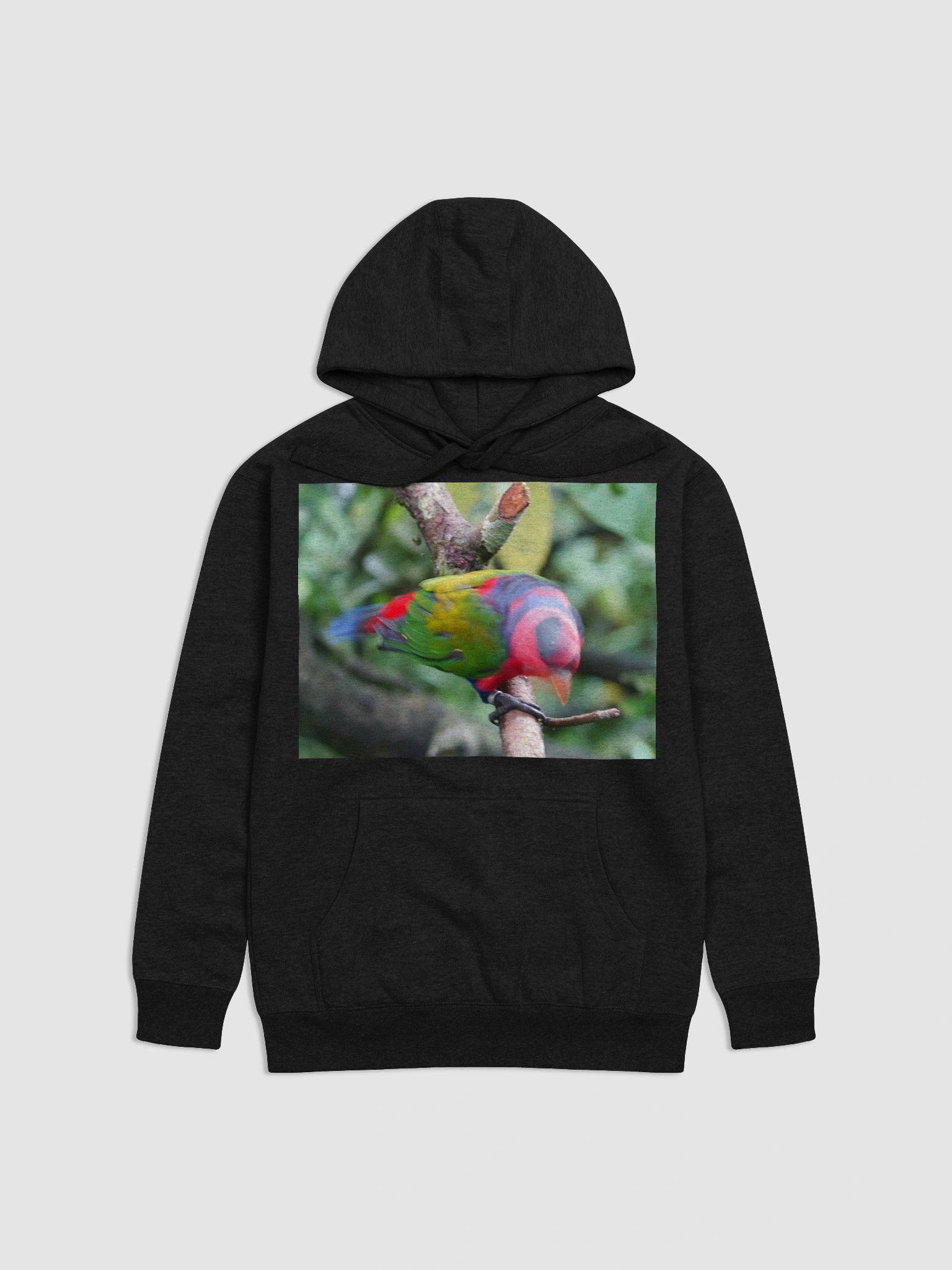 Colorful Plumage Unisex Hoodie product image (1)