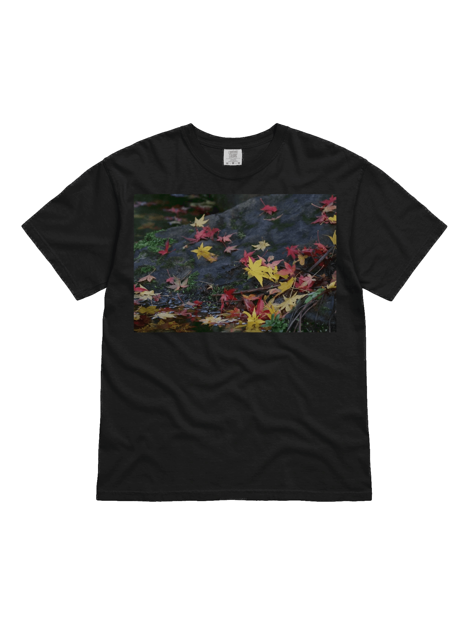 Love Joy Bestseller Autumn Beauty T-Shirt product image (1)