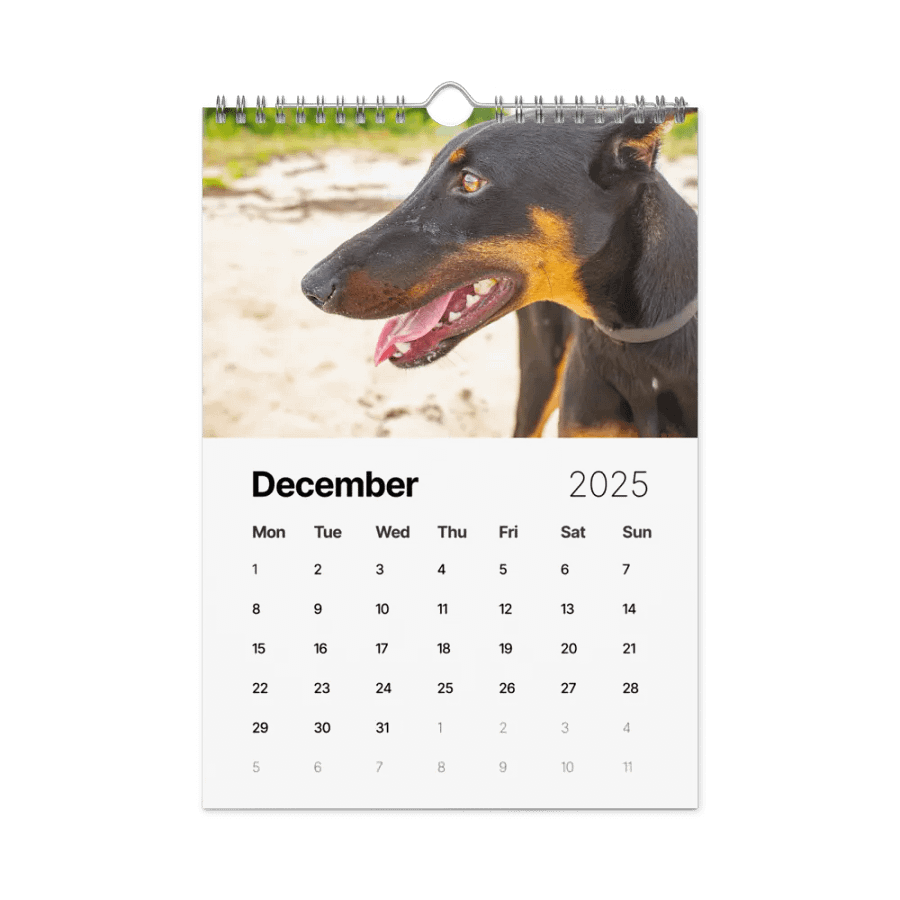The first year - 2025 Calendar product image (12)