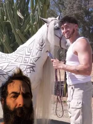 The greatest horse haircut I've ever seen #beardlaw 