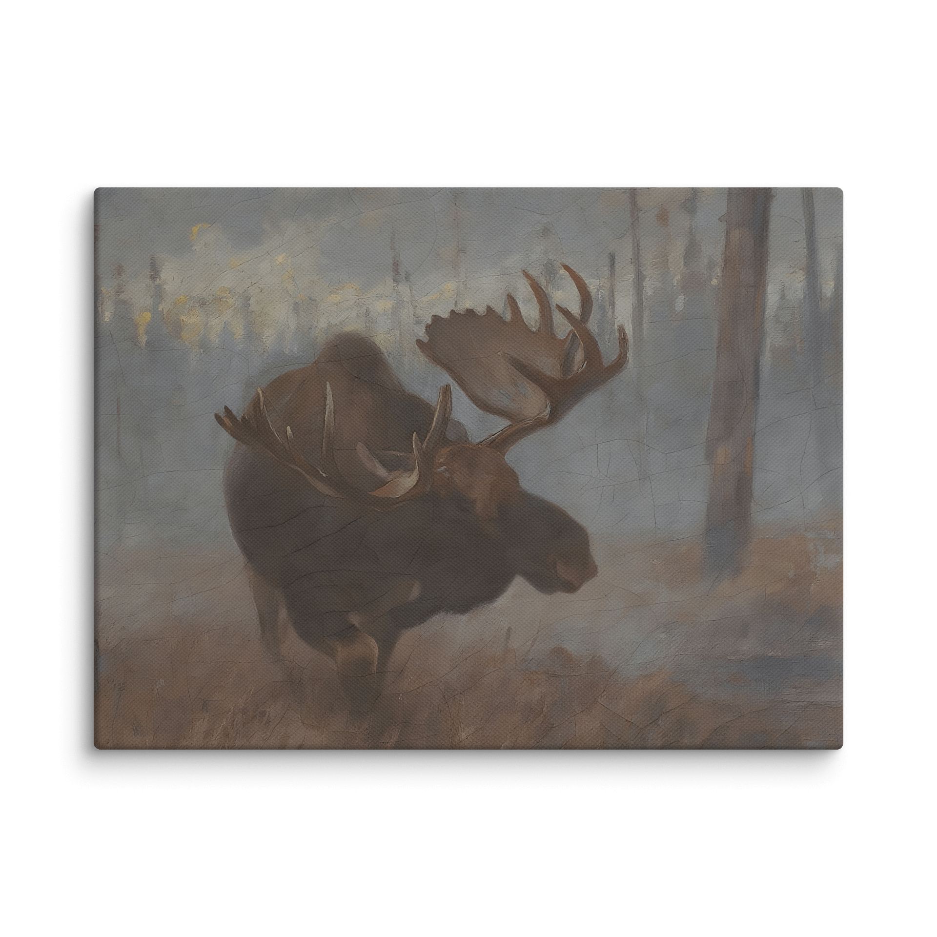 Bull Moose Canvas Wall Art Print product image (3)