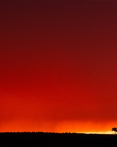 A scene from Benkelman, Nebraska two nights ago straight out of the Lion King #kswx #sunsets #hakunamatata