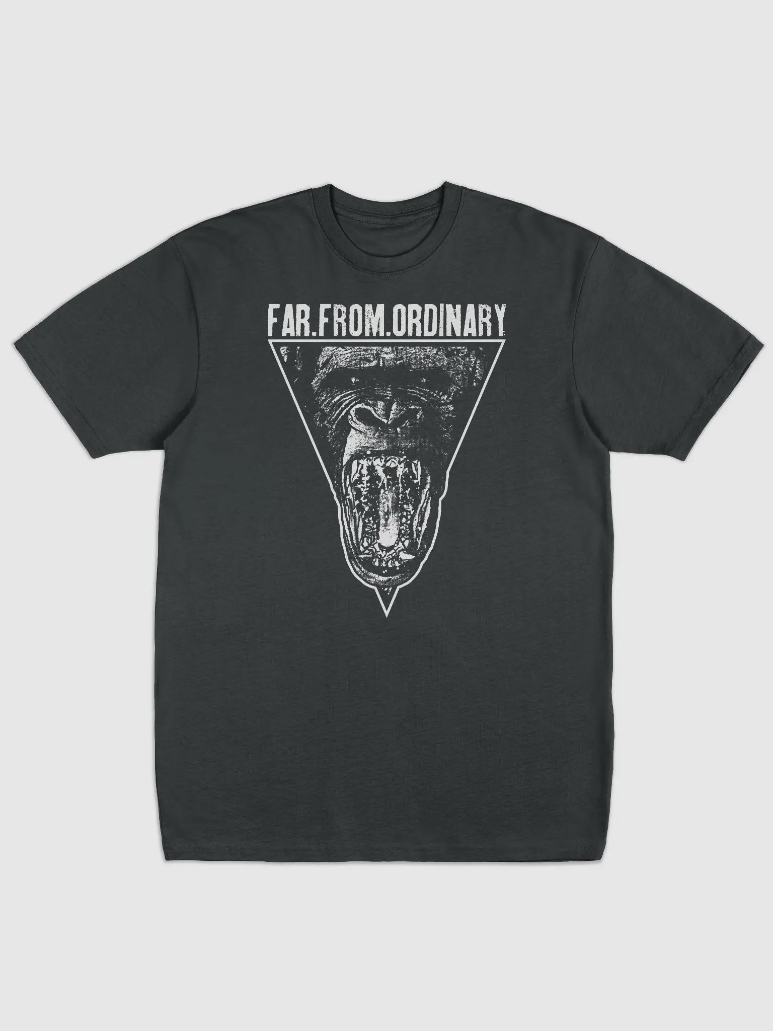 Far From Ordinary Heavyweight Tee product image (1)