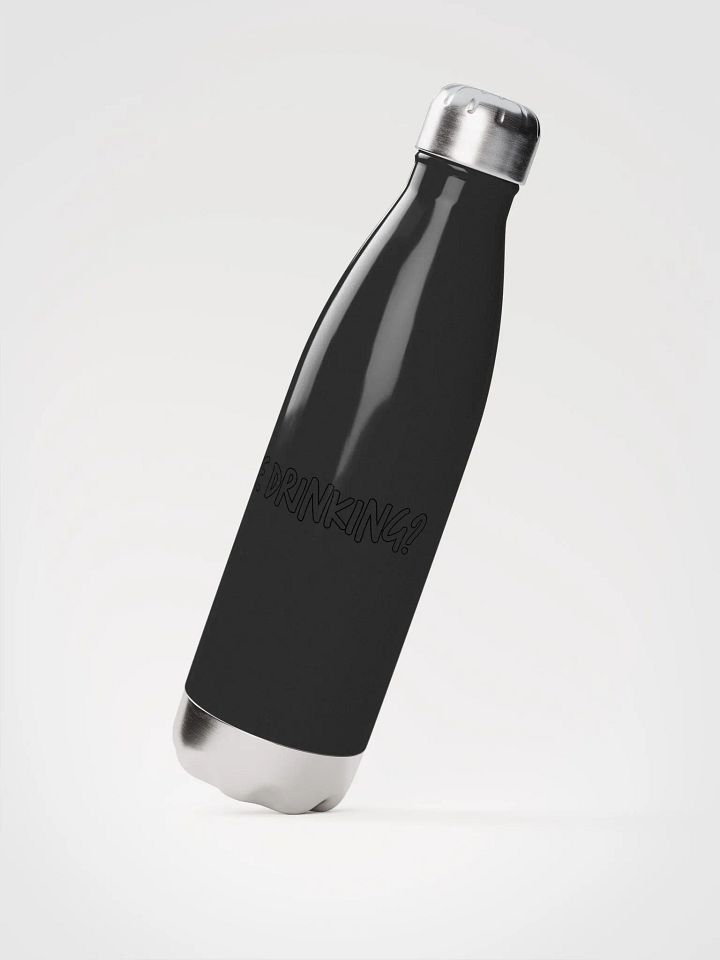 Stainless Steel Water Bottle - We Drinking? product image (2)