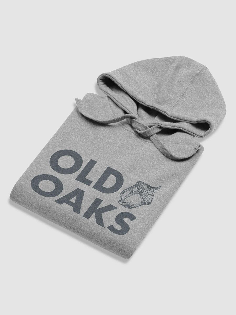 Old Oaks Hoodie product image (6)