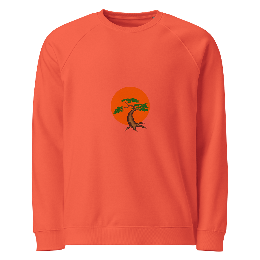 Vibrant Sunset Tree Organic Raglan Sweatshirt product image (1)