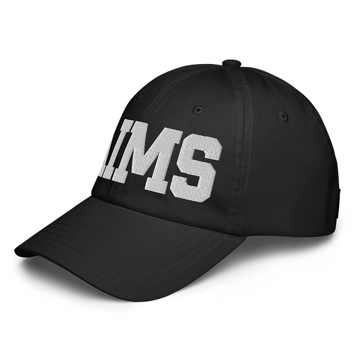 Aims Dad Hat by Under Armor product image (2)