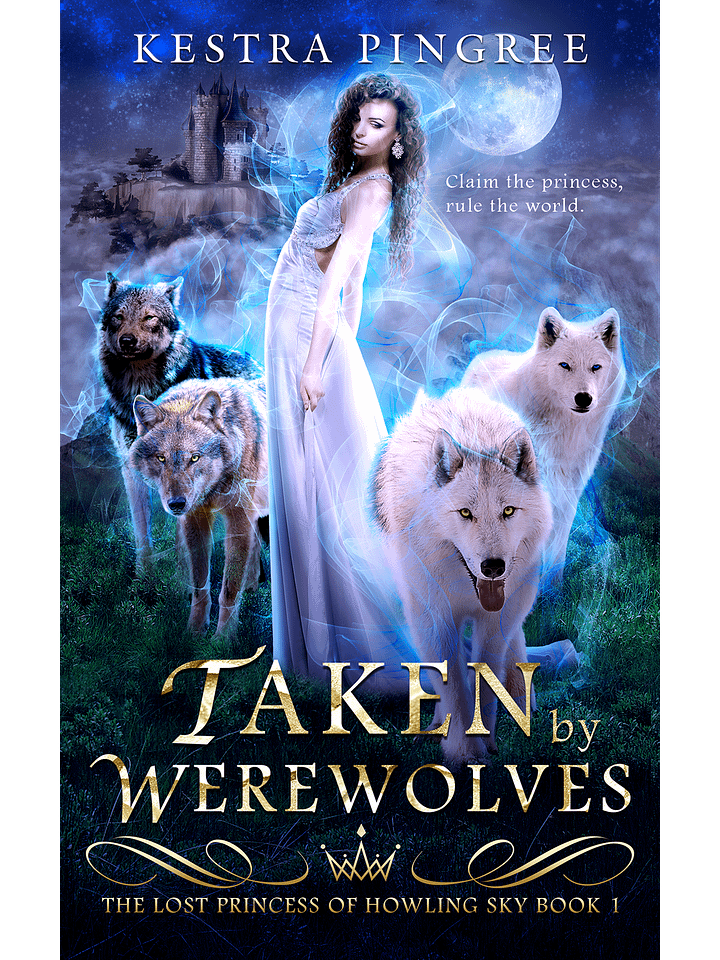 The Lost Princess of Howling Sky EBOOK BUNDLE product image (2)