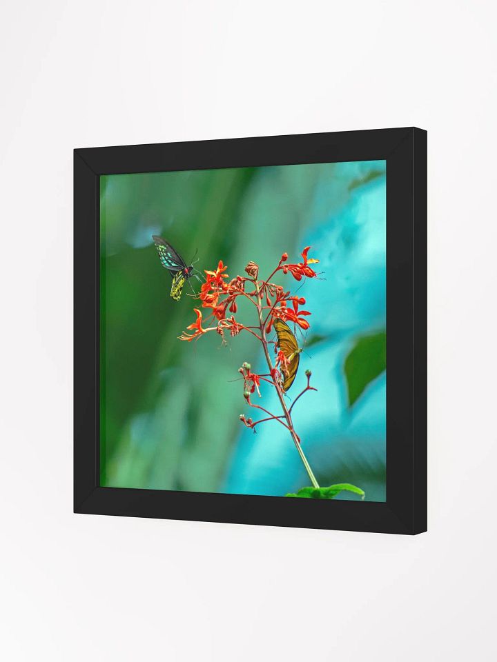 Love Joy Butterflies Beauty Framed Poster product image (8)