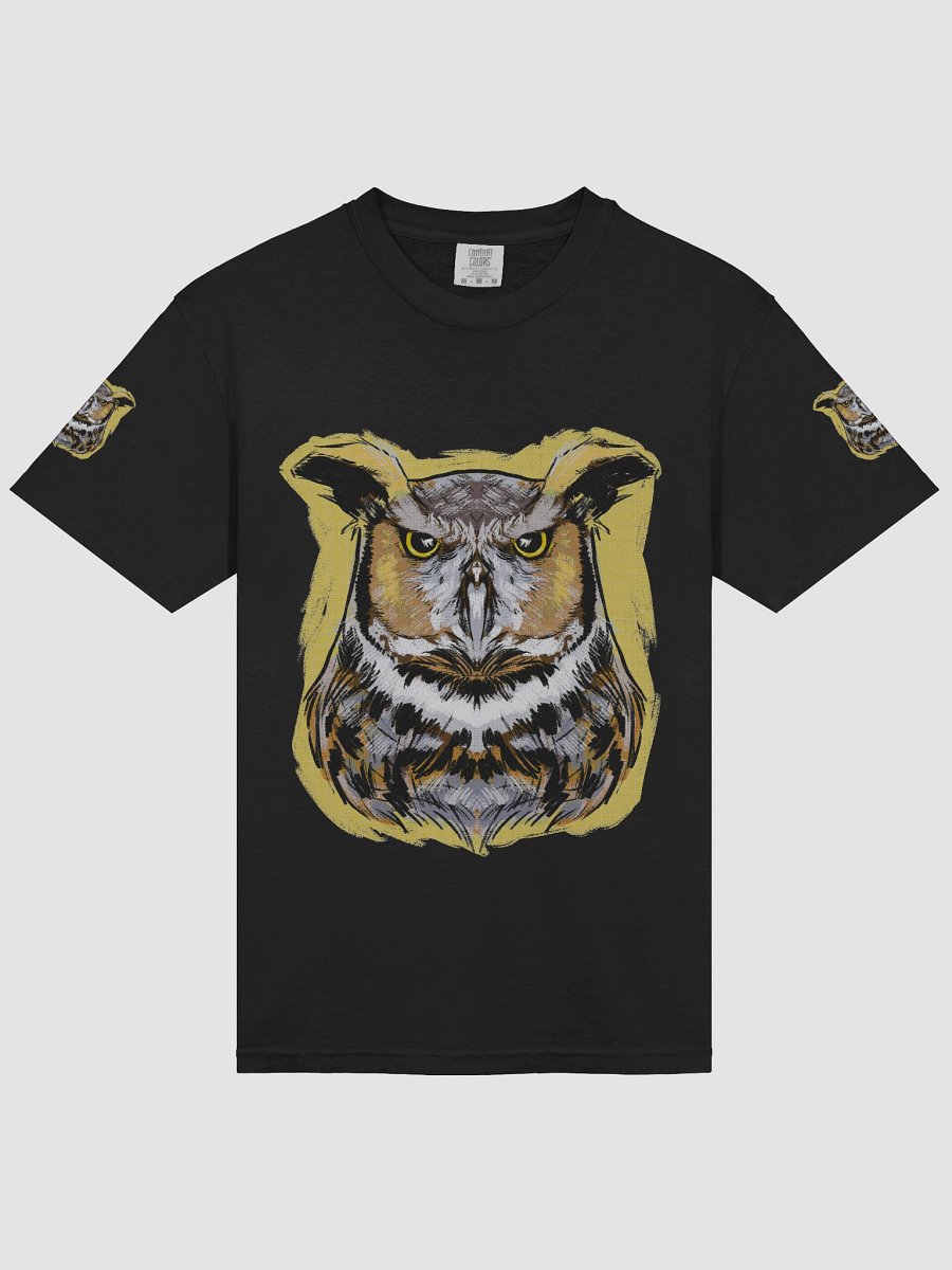 Barn Owl product image (12)