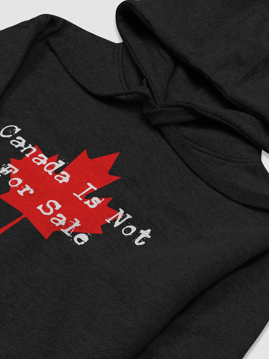 Canada Is Not For Sale and Canada Is Our Allie Hoodie product image (4)