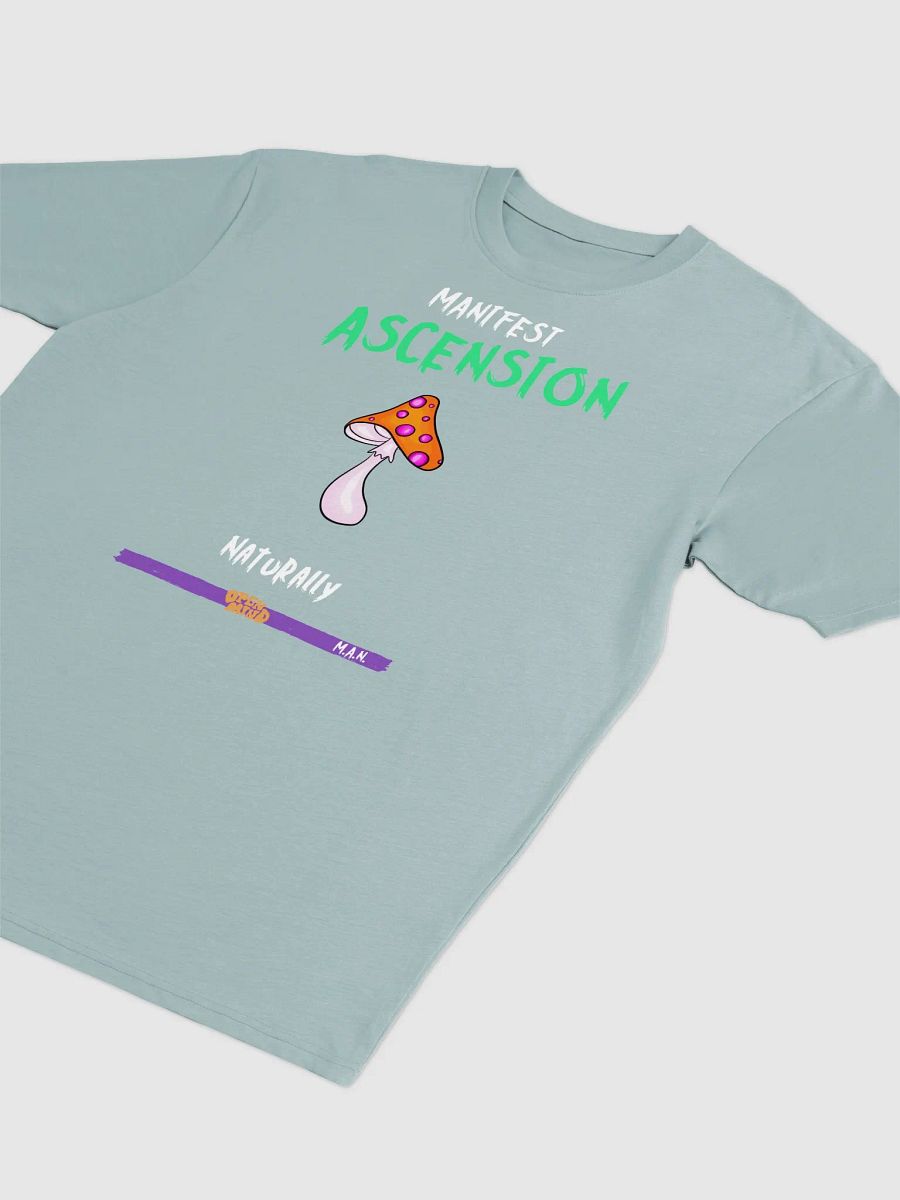 Ascension Mushroom Men's Tee product image (8)