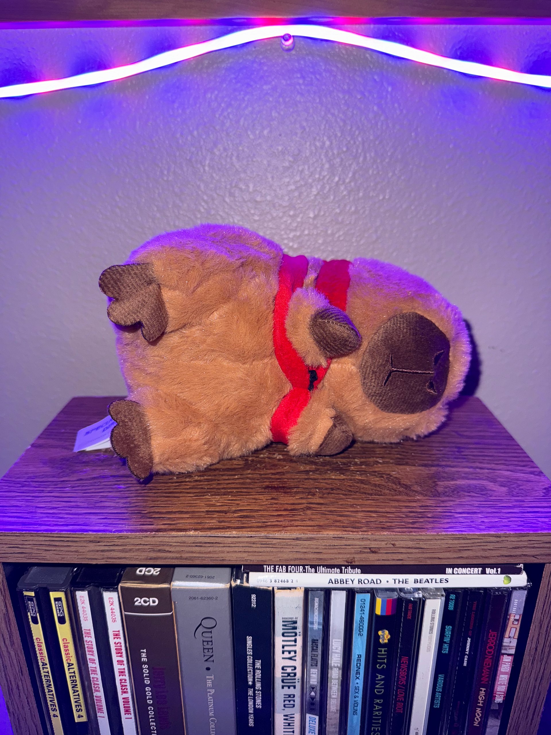 Capybara w/ Backpack Plush product image (2)