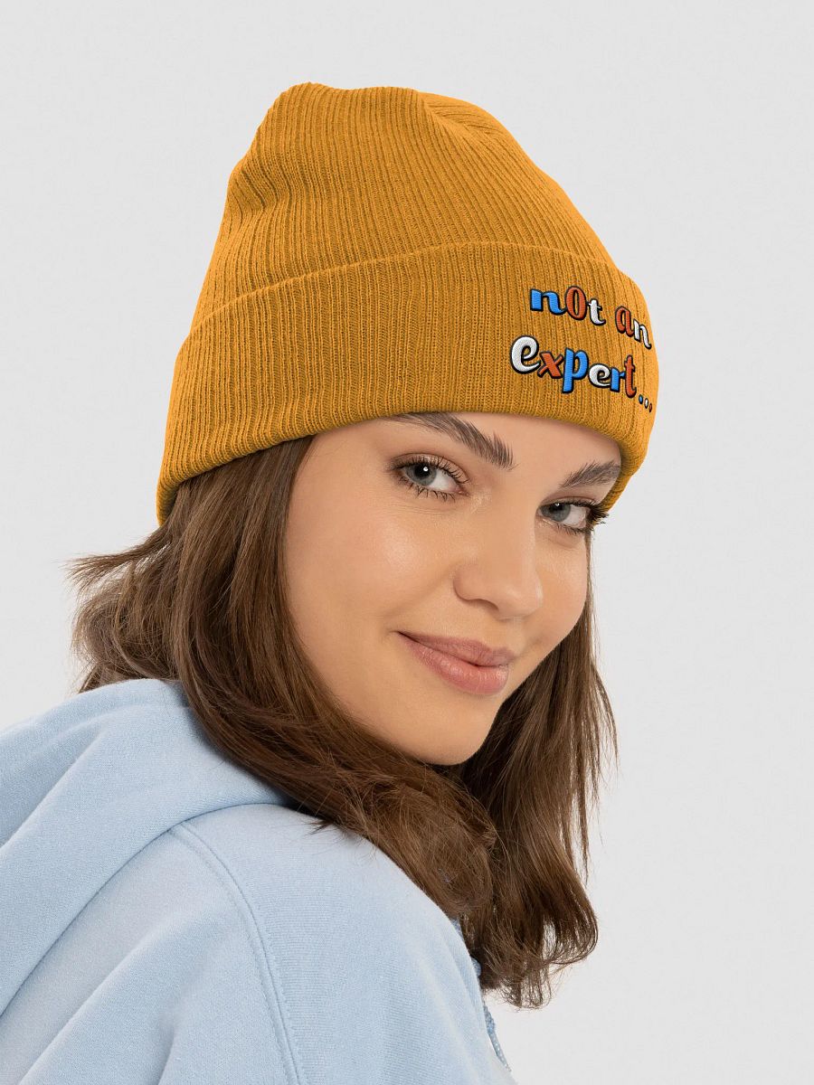 "not an expert..." Colour Beanie product image (6)