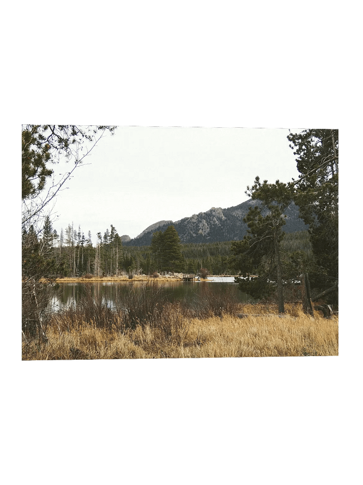 Sprague Lake Poster Print product image (1)