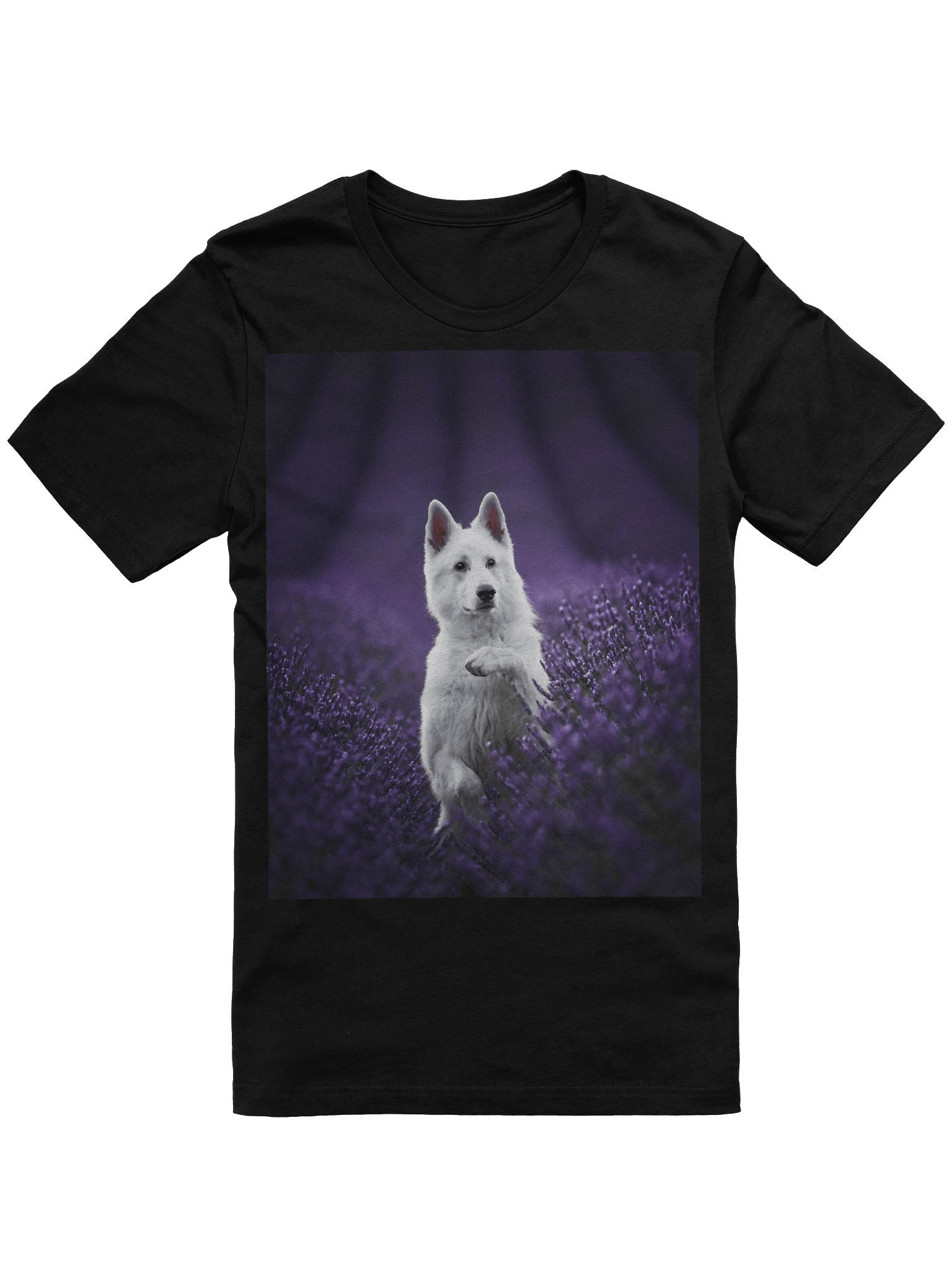 Rasta in the lavender fields product image (5)