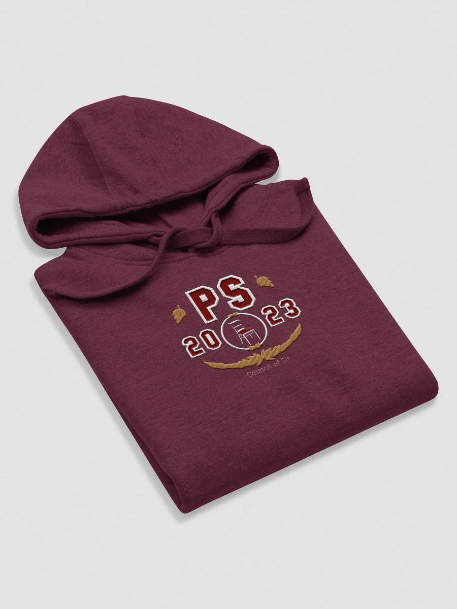 Embroidered Council Hoodie product image (11)