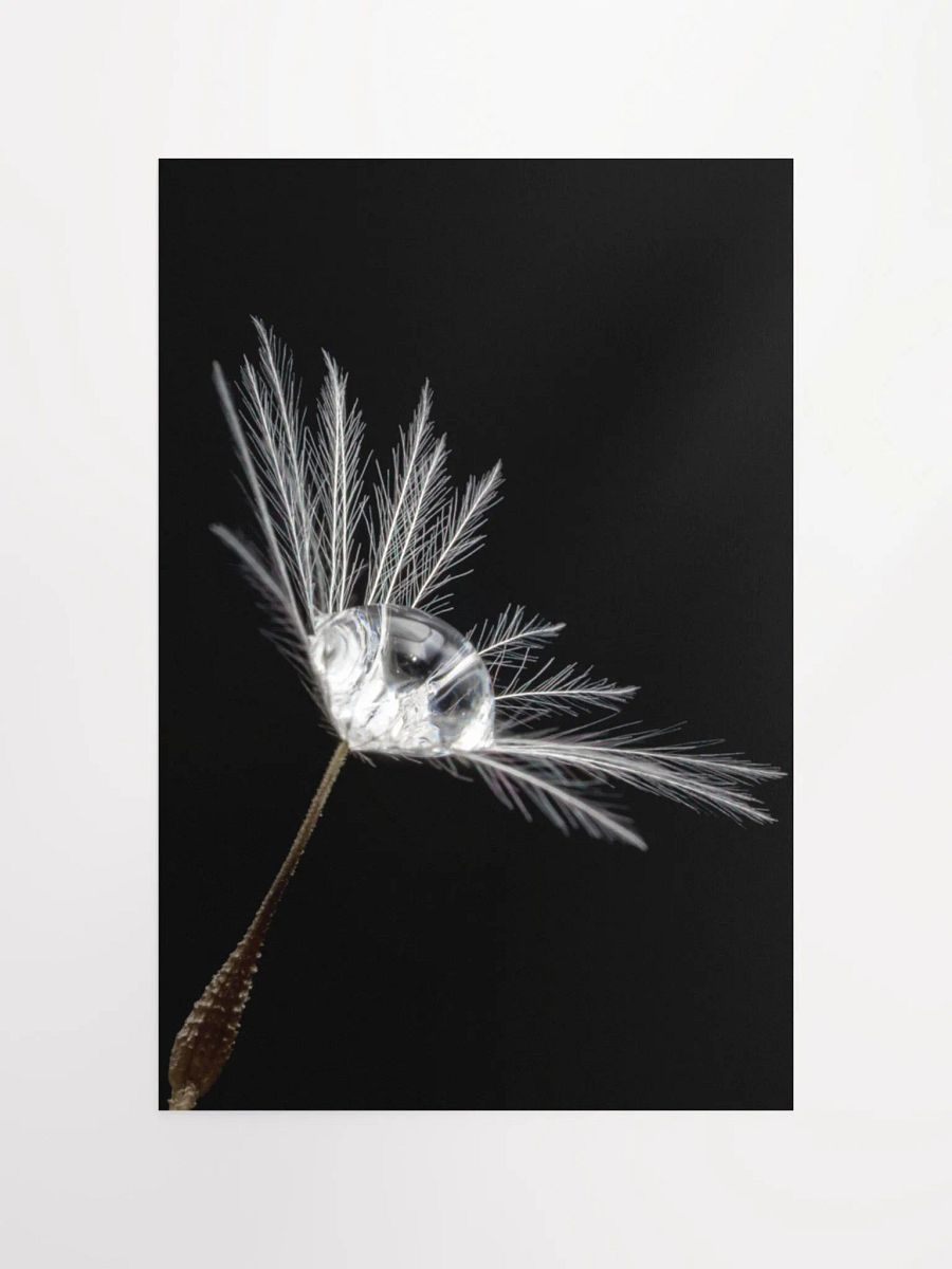 Delicate Strength Poster product image (12)