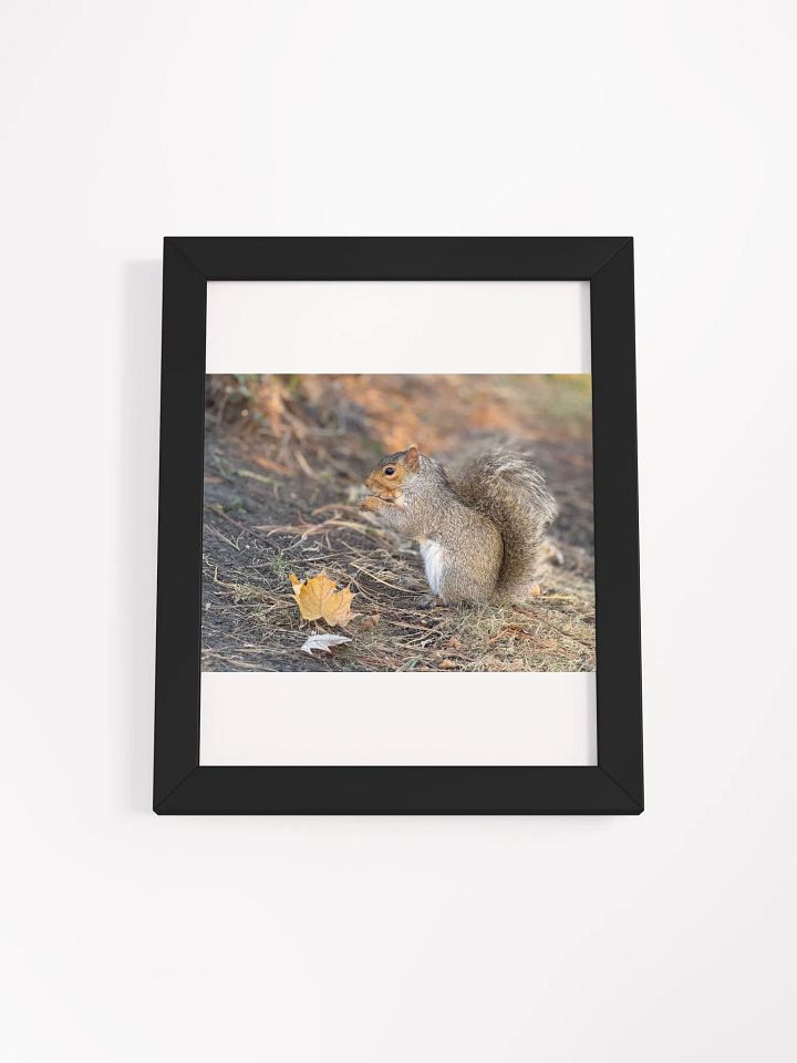 Squirrel print product image (19)