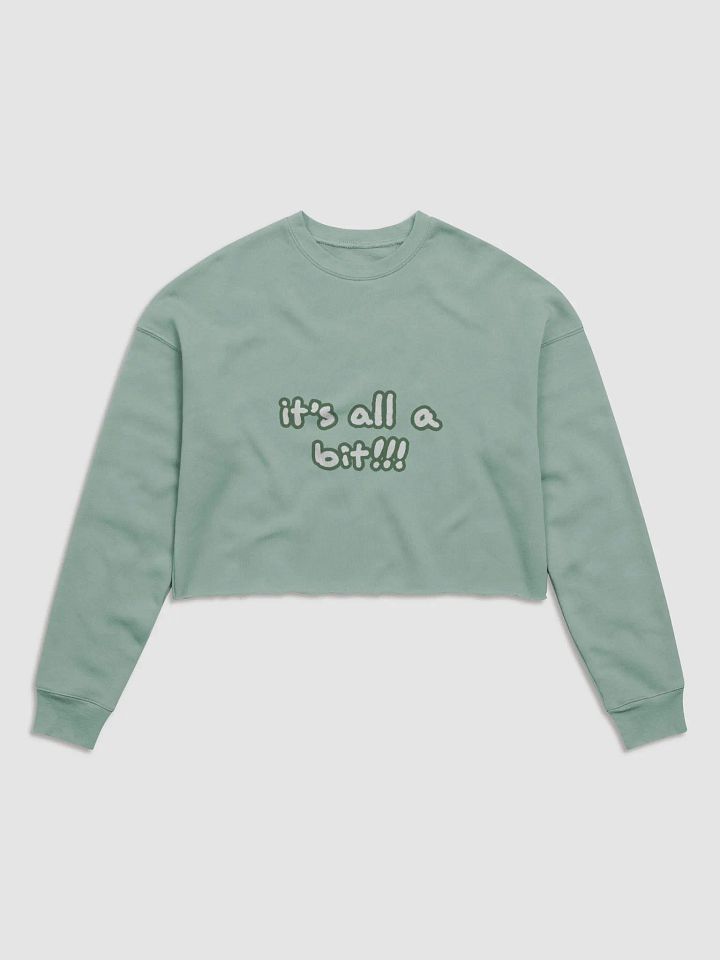 “It’s all a bit!!!” (sm. lined design, #527453) Women's Fleece Crop Sweatshirt product image (10)