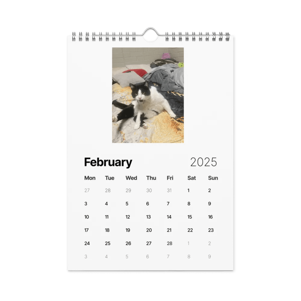 50 Shades of Haru - 2025 Wall Calendar product image (5)