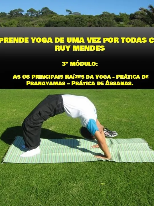 3º Módulo - Aprenda Yoga de Uma Vez Por Todas - Curso Online Teórico e Prático product image (1)