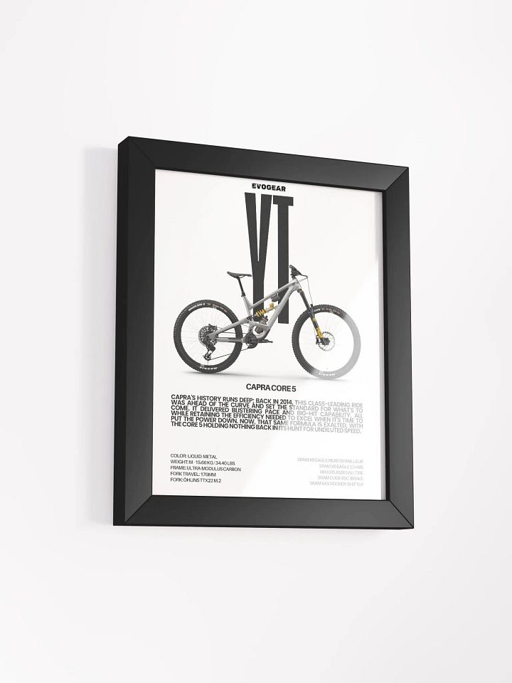 YT Capra Core 5 Frame product image (2)